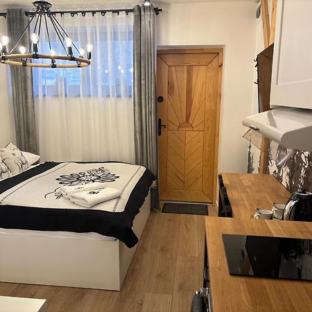 Apartament Small Czarny Potok Krynica-Zdrój Kültér fotó